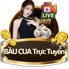 Trang chủ 5 BC