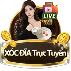 Trang chủ 4 XD