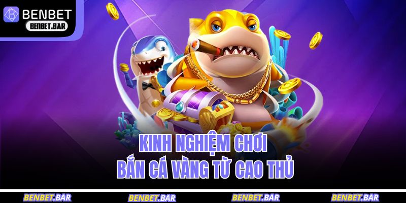 Kinh nghiệm chơi bắn cá vàng từ cao thủ